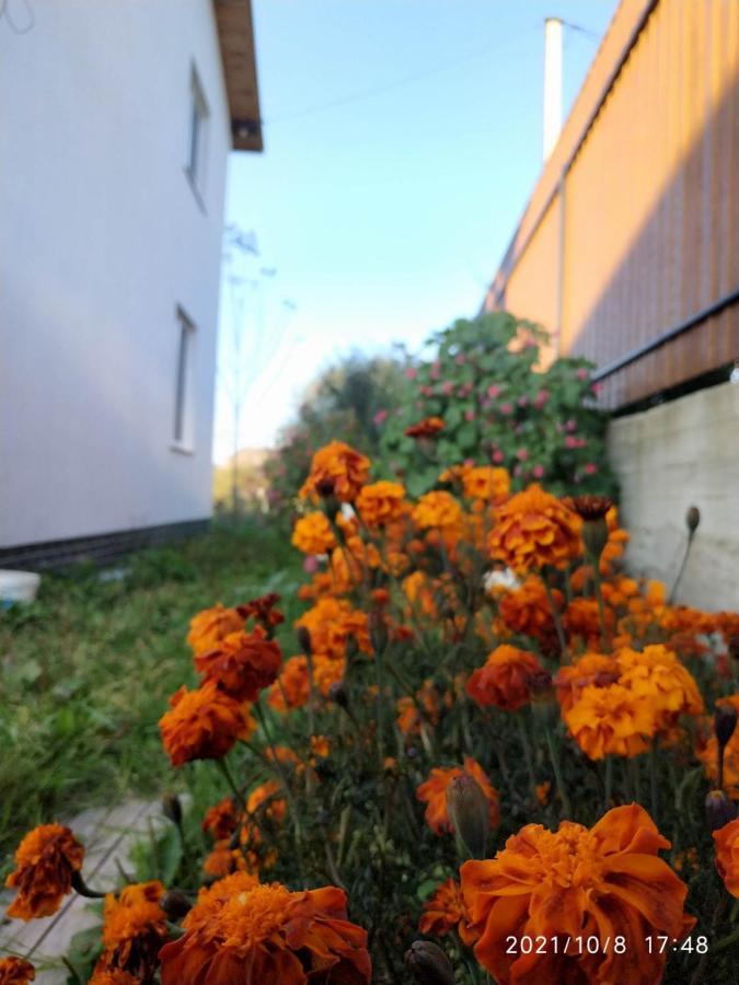 Nestg Guest House Pilipets Eksteriør bilde